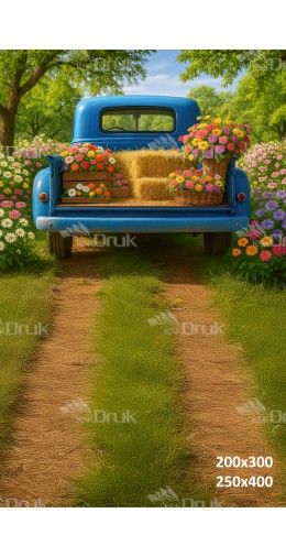 Tło fotograficzne „Niebieski pickup” | E_752